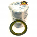 C4 Clutch piston zf 4hp16