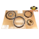 Комплект поршней АКПП GM 6T40/6T45 (5)